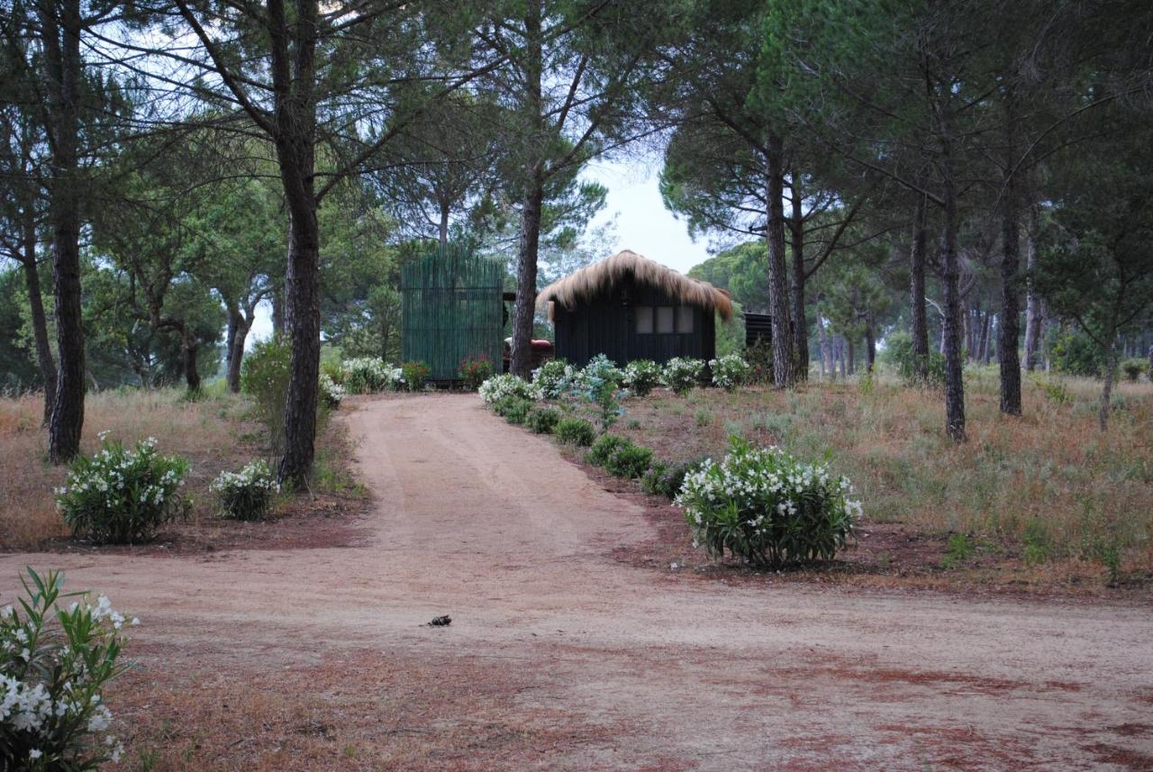 Ying Yang Monte Da Lua Villa Comporta Exteriör bild