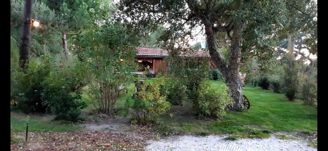 Ying Yang Monte Da Lua Villa Comporta Exteriör bild