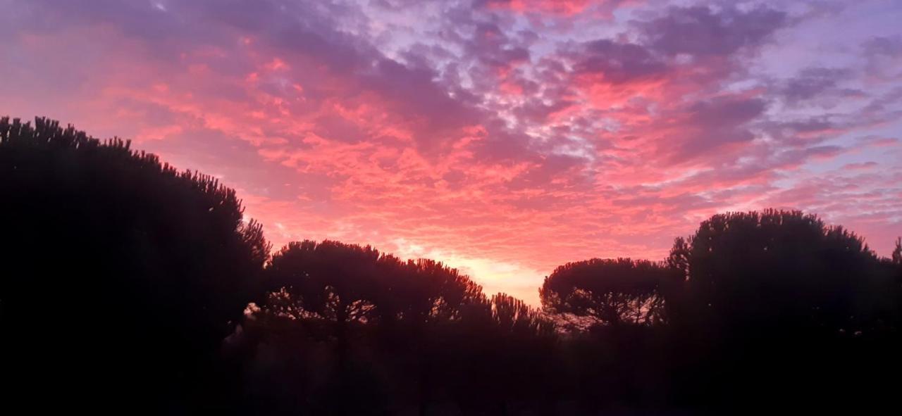 Ying Yang Monte Da Lua Villa Comporta Exteriör bild
