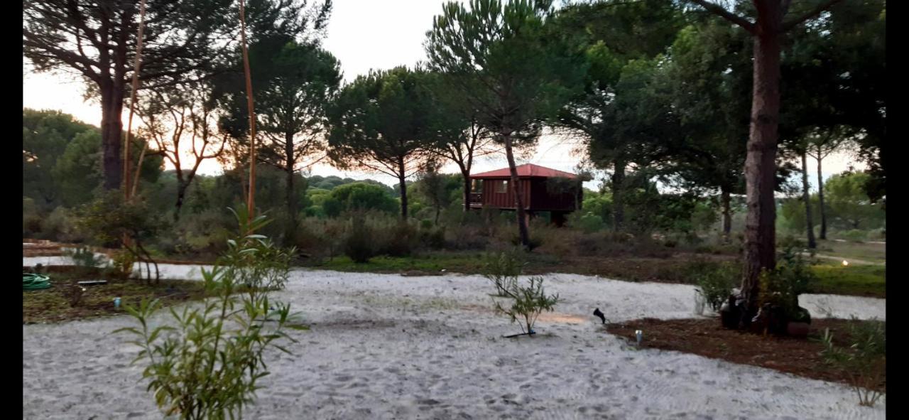 Ying Yang Monte Da Lua Villa Comporta Exteriör bild