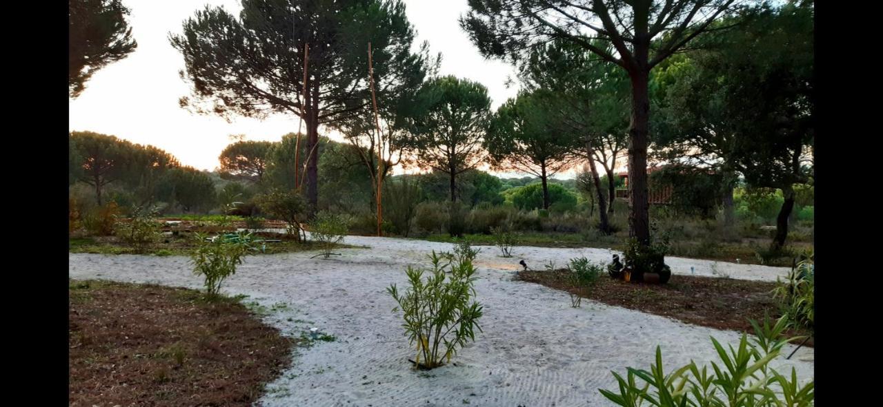 Ying Yang Monte Da Lua Villa Comporta Exteriör bild